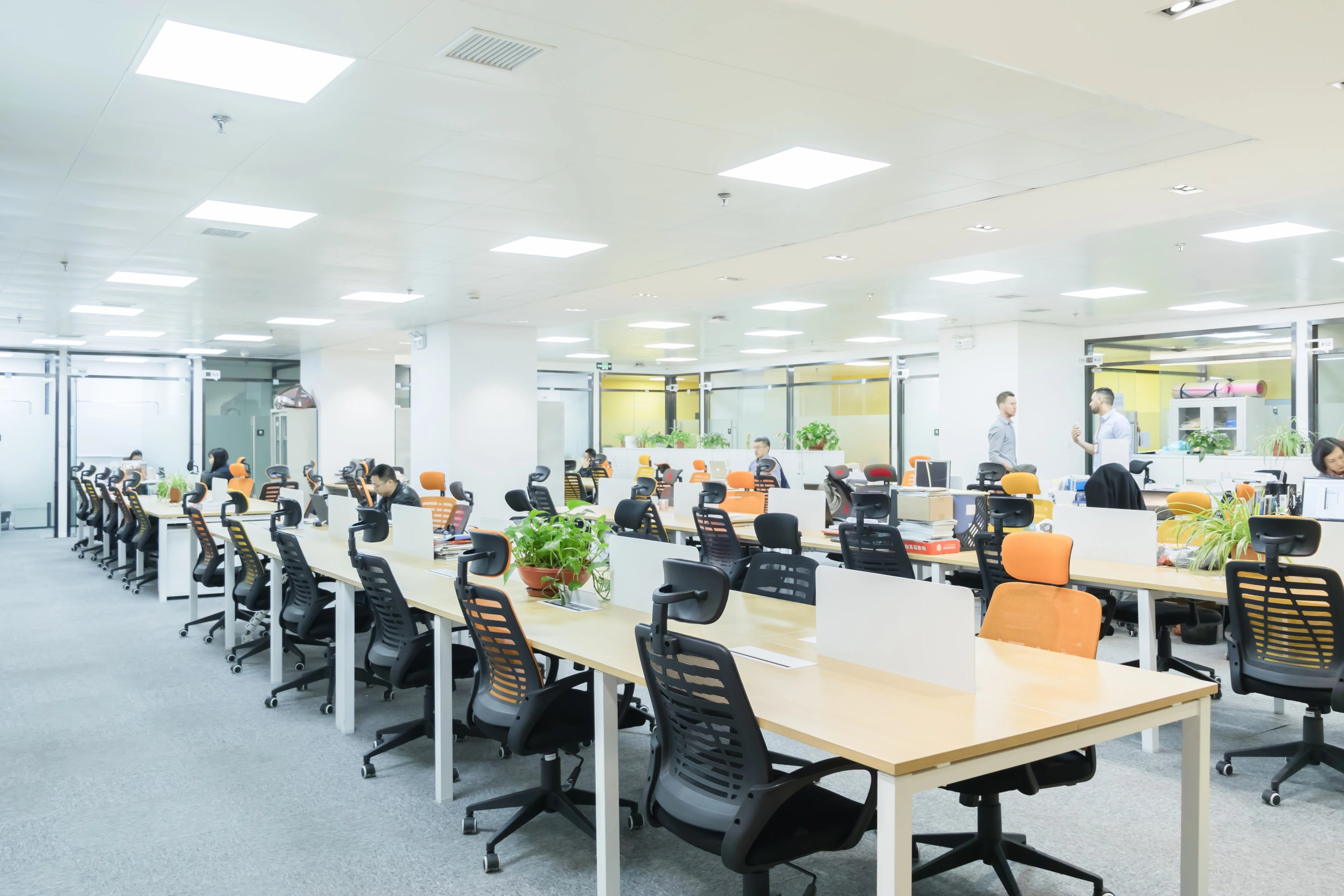 Professional Custom Logo Resistance Bands – Commercial & Home Yoga product image